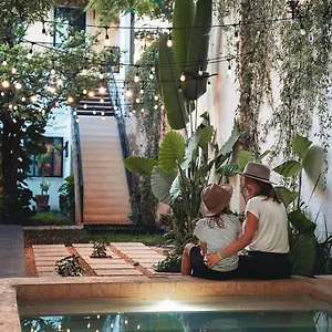  Hotel & Boutique Casa Garza México