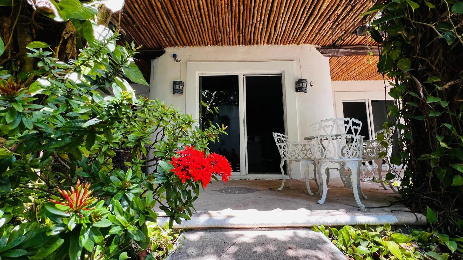 Mayan Art Hotel A Unos Pasos De La 5A Avenida Playa del Carmen México