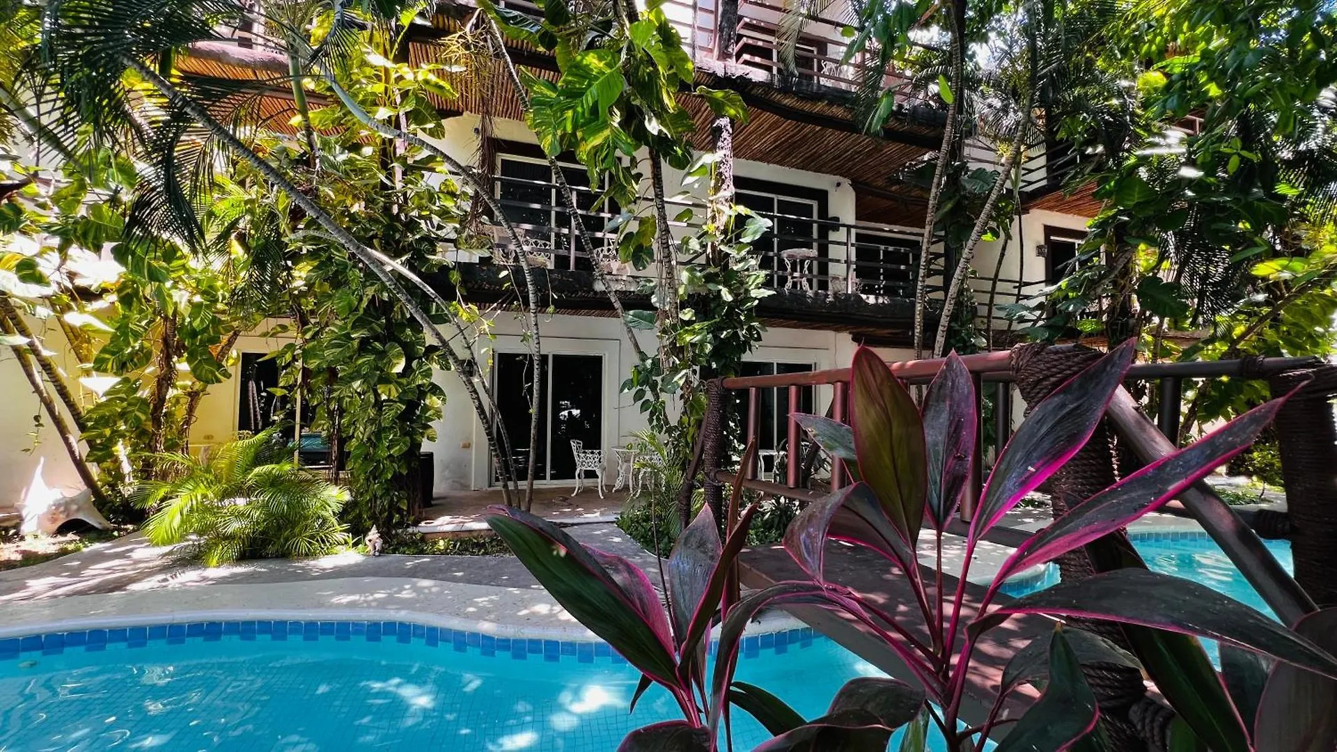 Mayan Art Hotel A Unos Pasos De La 5A Avenida Playa del Carmen 3*,  México