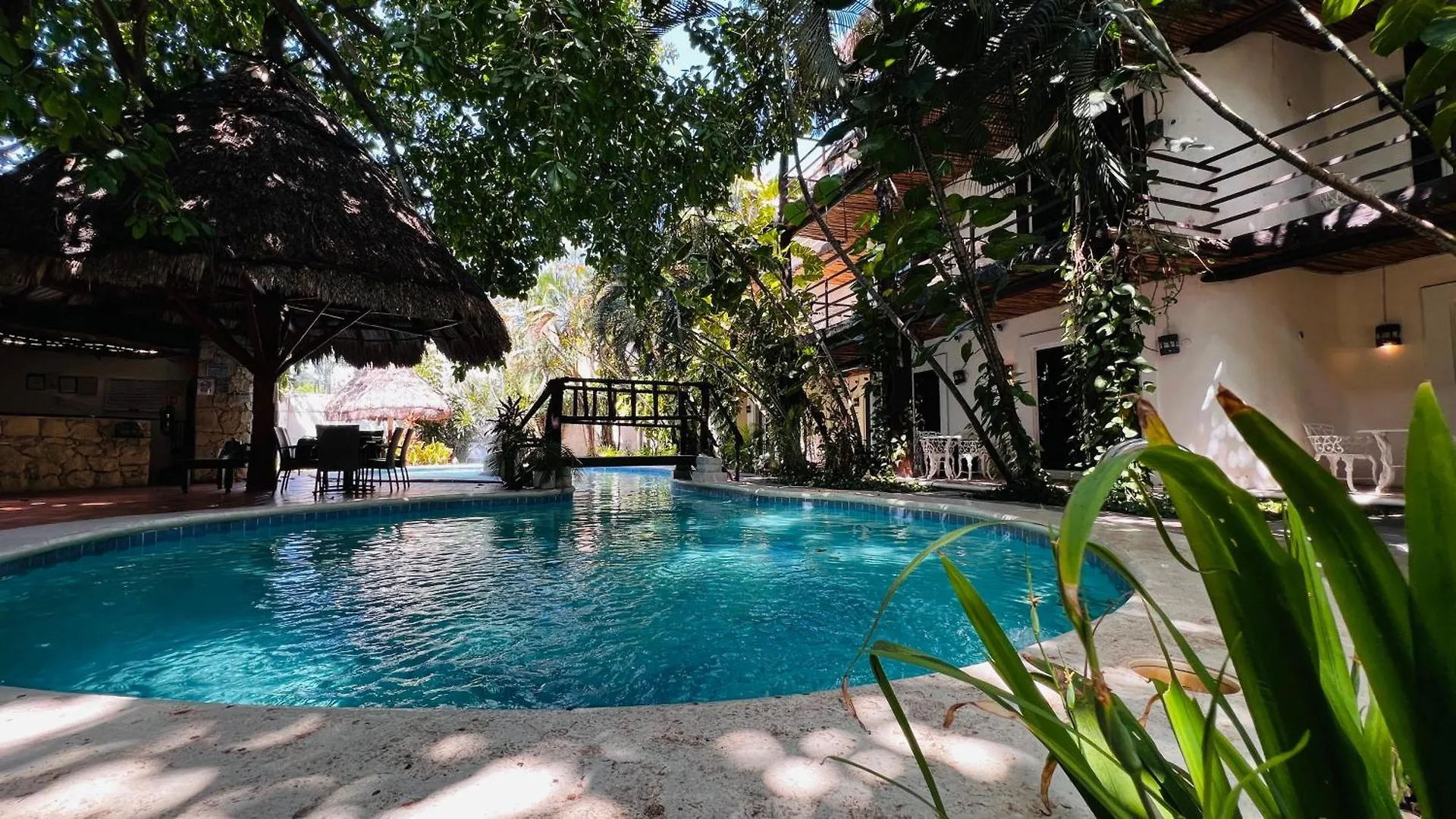 Mayan Art Hotel A Unos Pasos De La 5A Avenida Playa del Carmen